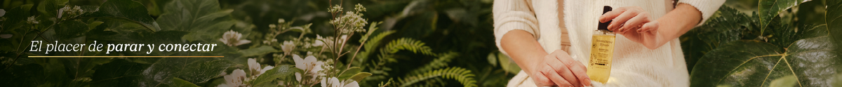 slider image slider_item_MJEGaU